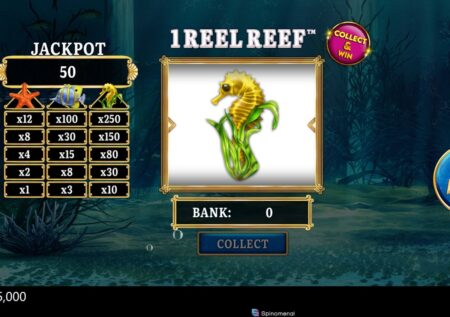 1 Reel Reef