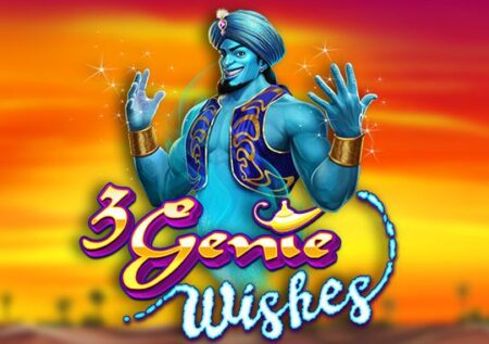 3 Genie Wishes