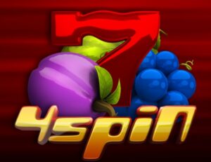 4 Spin