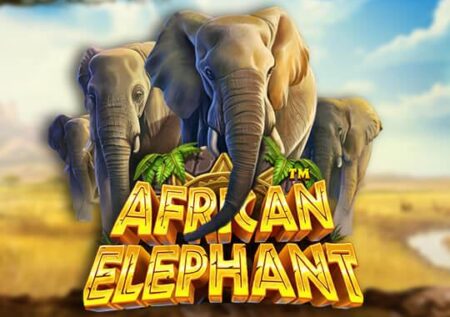 African Elephant