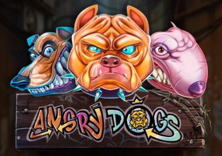 Angry Dogs