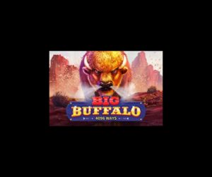 Big Buffalo