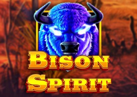 Bison Spirit