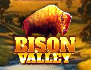 Bison Valley