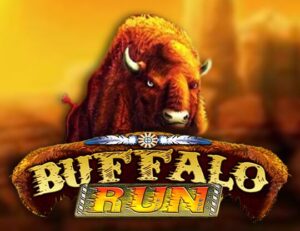 Buffalo Run
