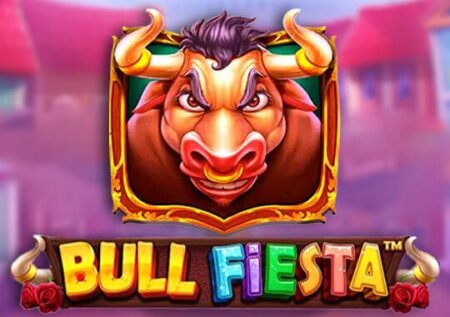 Bull Fiesta