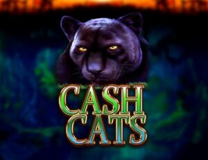 Cash Cats