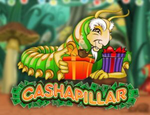 Cashapillar