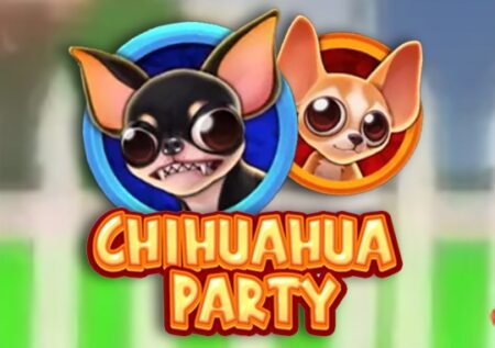 Chihuahua Party