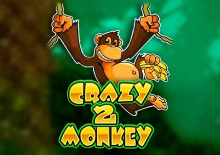 Crazy Killer