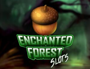 Enchanted Forest