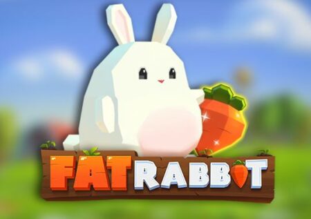 Fat Rabbit