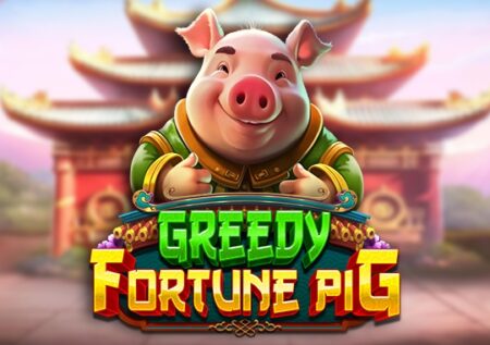 Greedy Fortune Pig