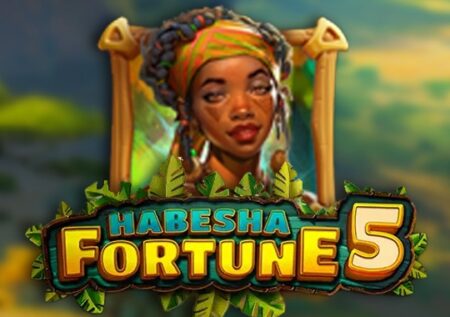 Habesha Fortune 5