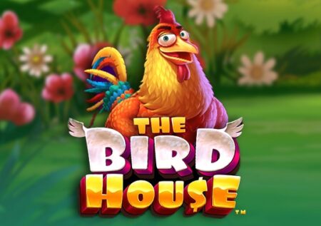 The Bird House