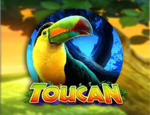 Toucan
