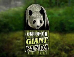Untamed Giant Panda