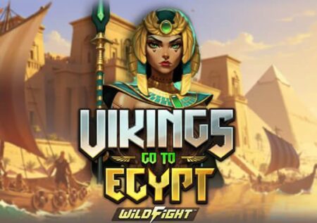 Vikings Go To Egypt Wild Fight
