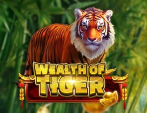 Wealth of Tiger