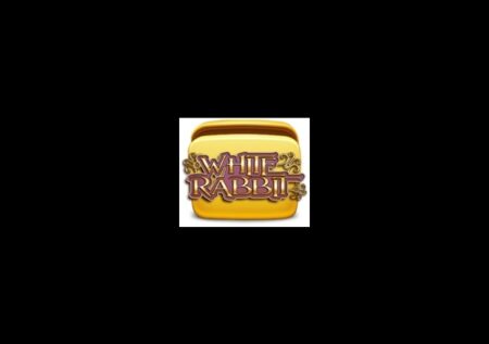 White Rabbit