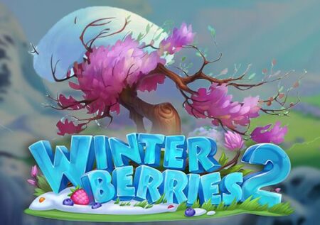 Winter Berries 2