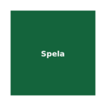 Spela Casino