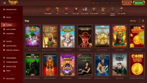 VikingLuck Casino Spillutvalg