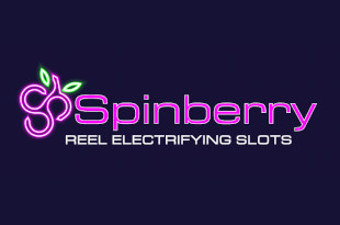 Spinberry logo
