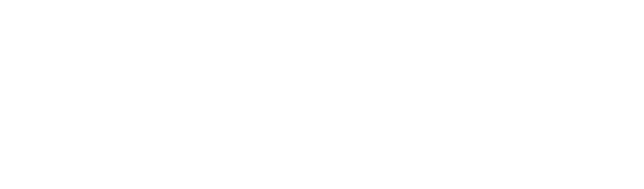 BVBet