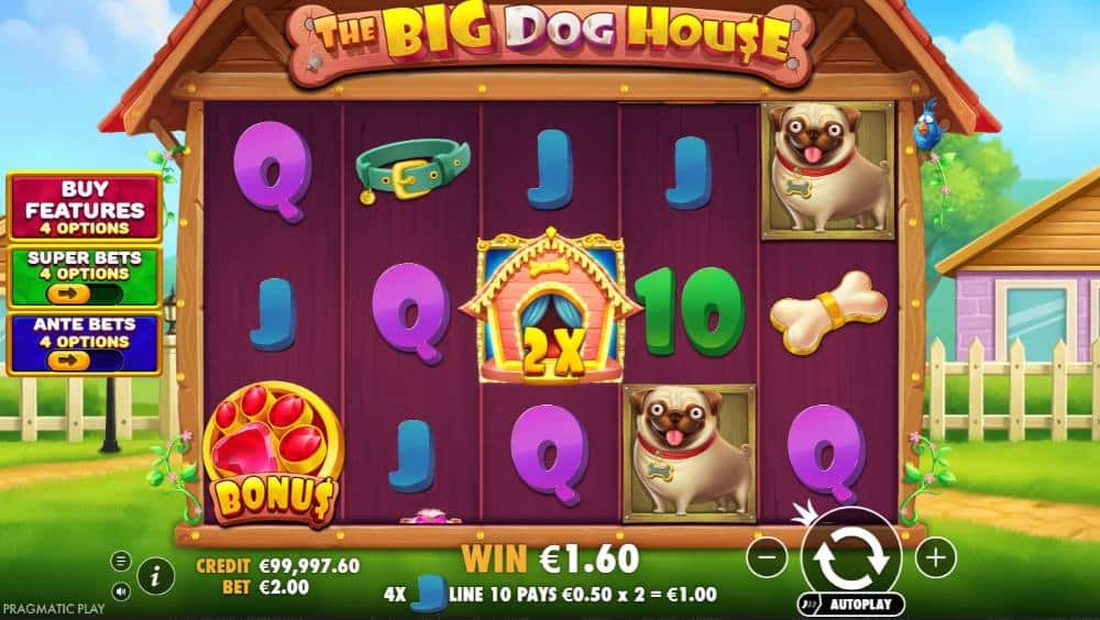 The Big Dog House grunnspill med 2x wild-multiplikator